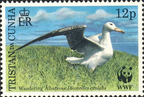 Diomedea exulans