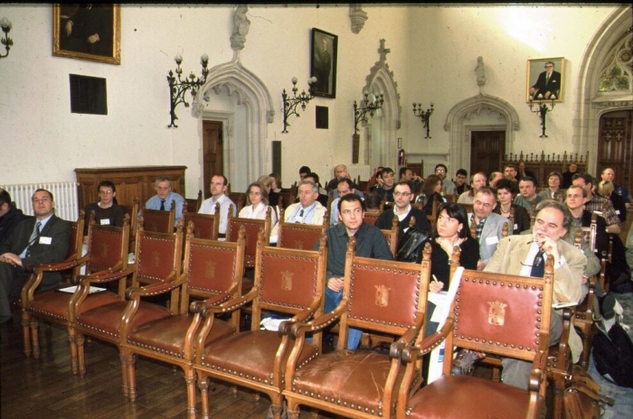 Picture in plenary room