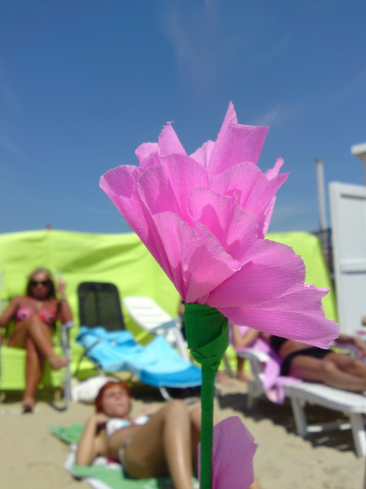 Roze bloem