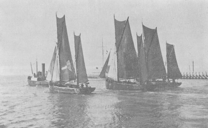 Desnerck (1974, fig. 013)