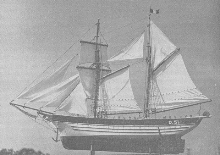 Desnerck (1974, fig. 026)