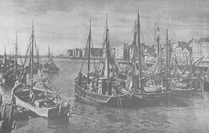Desnerck (1974, fig. 028)