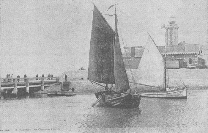 Desnerck (1974, fig. 034)