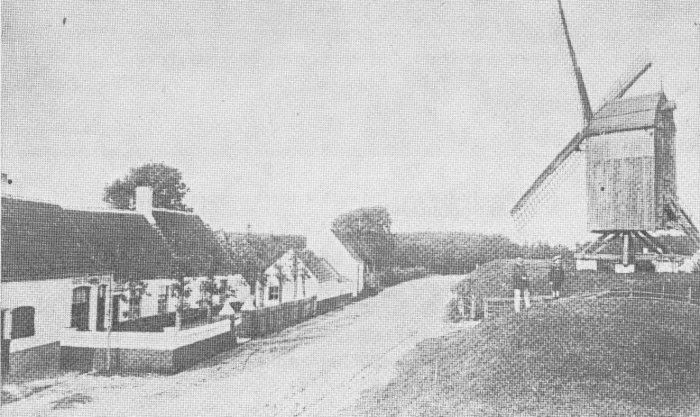 Desnerck (1974, fig. 048)