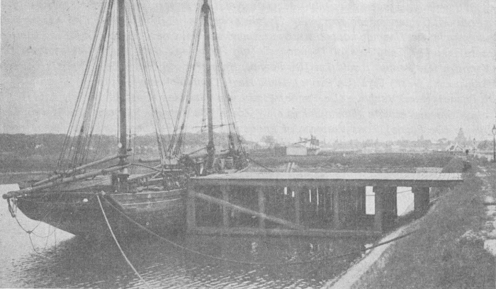 Desnerck (1974, fig. 064)