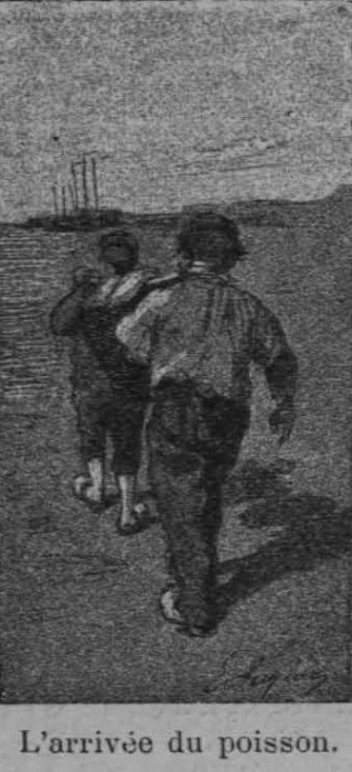 Auguin (1898, fig. 01)