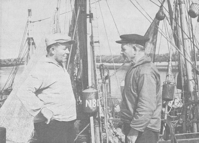 Desnerck (1974, fig. 066)