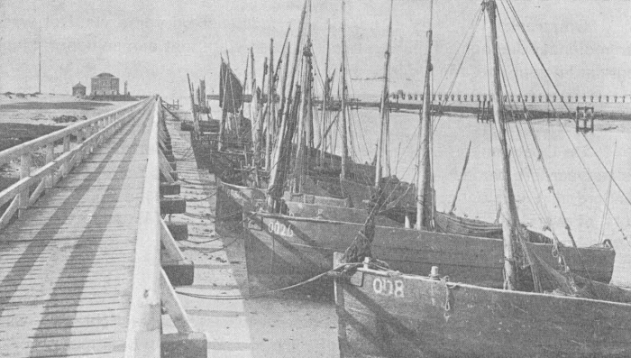 Desnerck (1974, fig. 080)