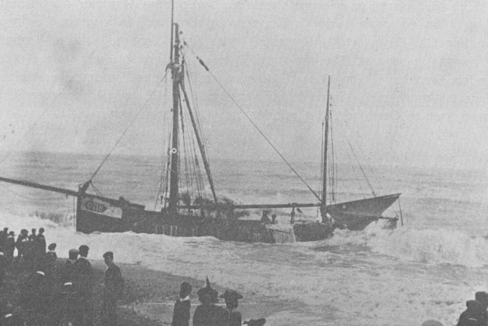Desnerck (1974, fig. 097)