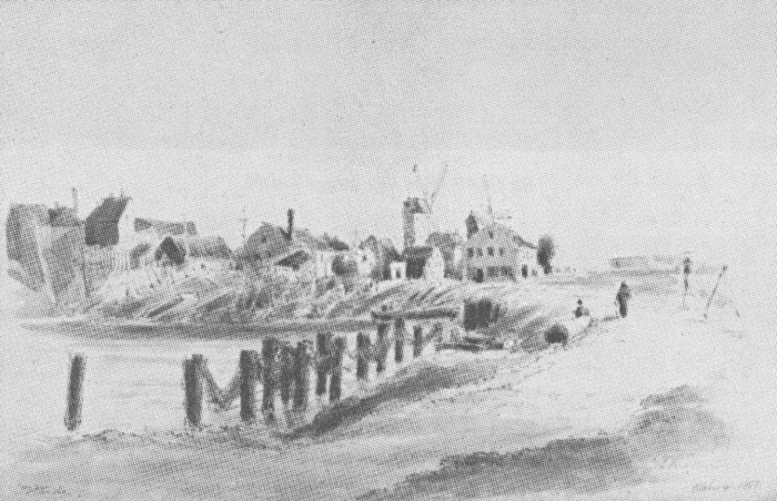 Desnerck (1974, fig. 164)