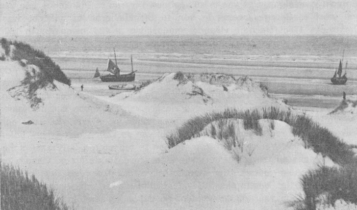 Desnerck (1974, fig. 019)