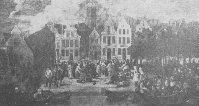 Desnerck (1974, fig. 216)