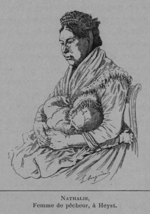 Auguin (1898, fig. 12)