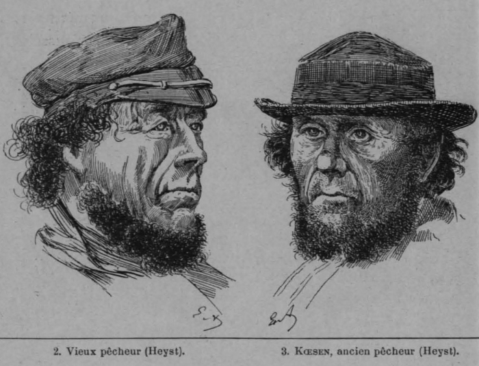 Auguin (1898, fig. 18)