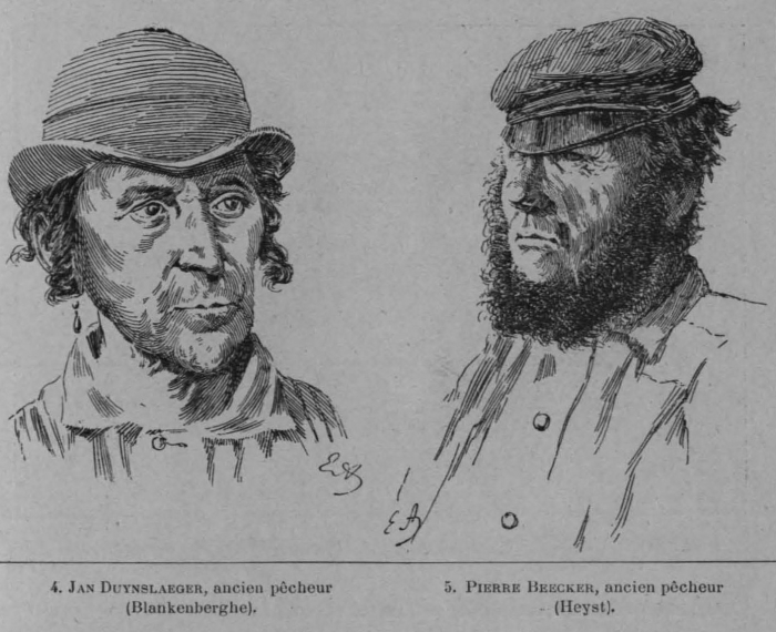 Auguin (1898, fig. 19)