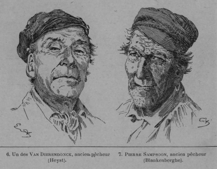 Auguin (1898, fig. 20)