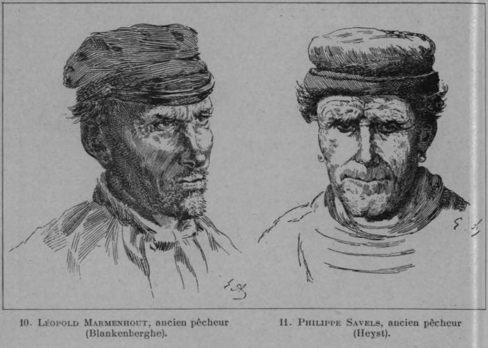 Auguin (1898, fig. 22)