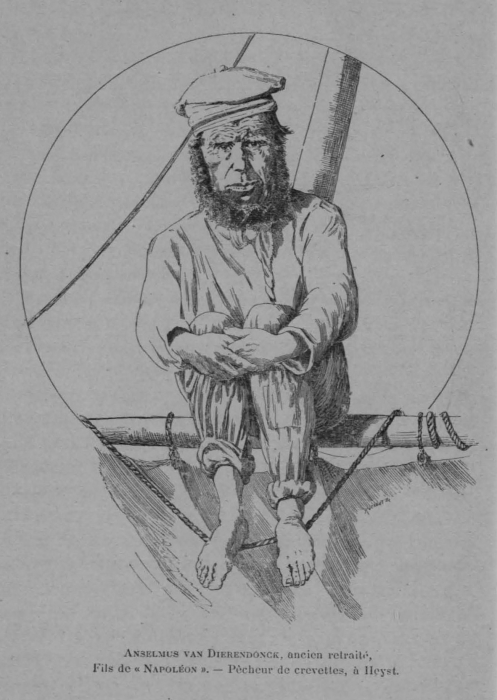 Auguin (1898, fig. 24)