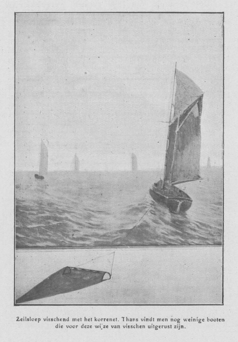 Loontiens (1930, fig. 6)