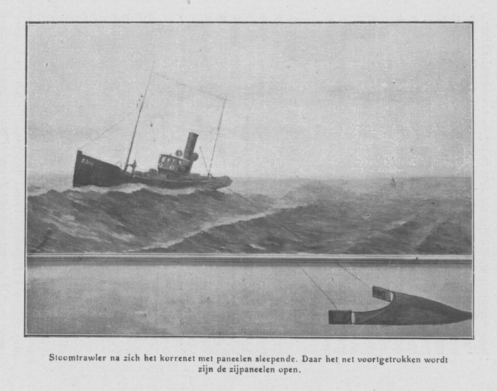 Loontiens (1930, fig. 8)