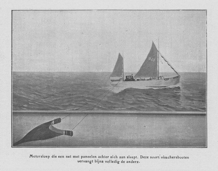 Loontiens (1930, fig. 9)
