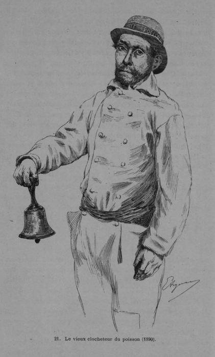 Auguin (1899, fig. 21)
