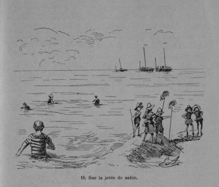 Auguin (1899, fig. 18)