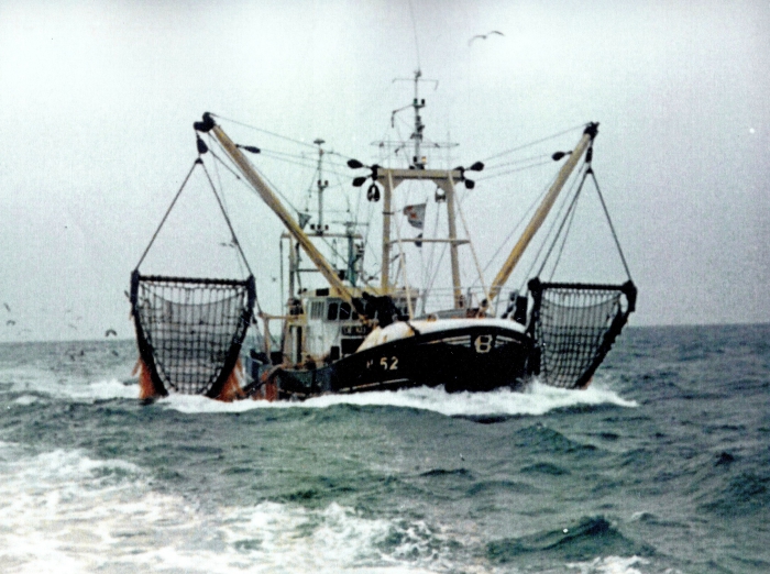 N.52 Sea Hunter (construction 1983) N.52 Sea Hunter (construction 1983)