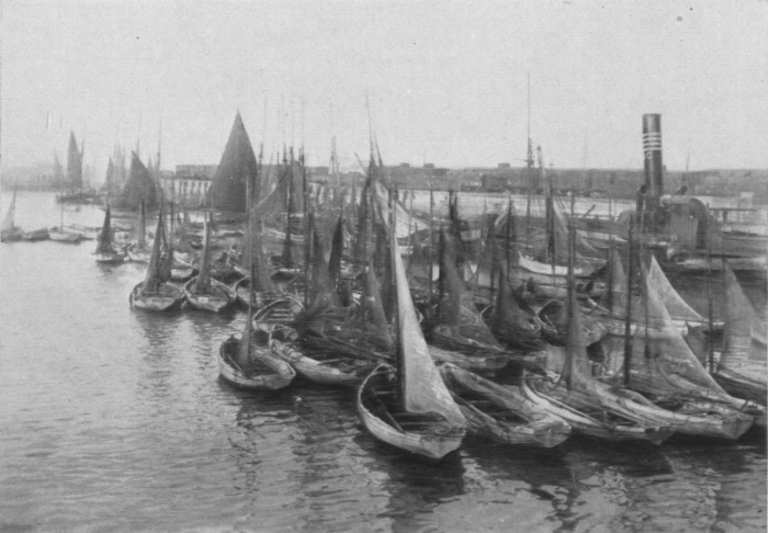 Verbrugghe (1932, fig. 04)