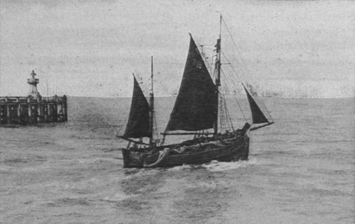 Verbrugghe (1932, fig. 13)