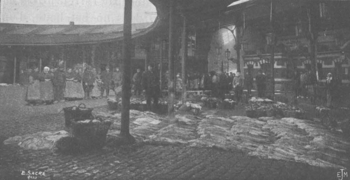 De Zuttere (1909, fig. 05)