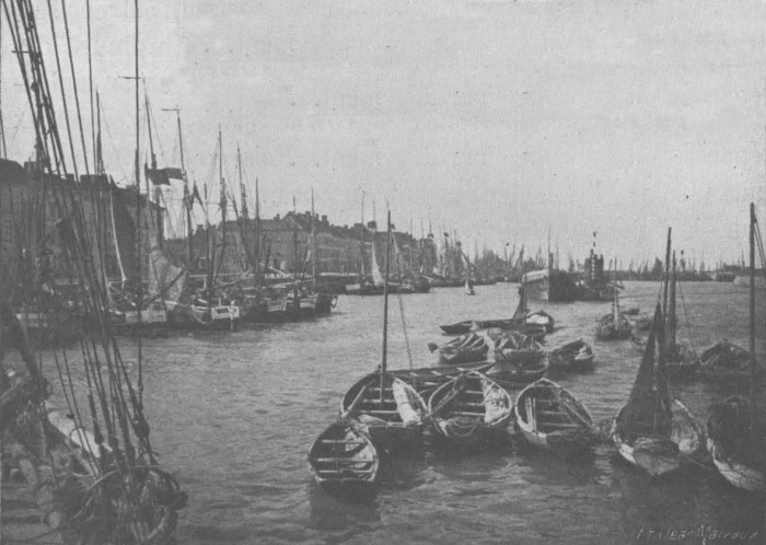 De Zuttere (1909, fig. 08)
