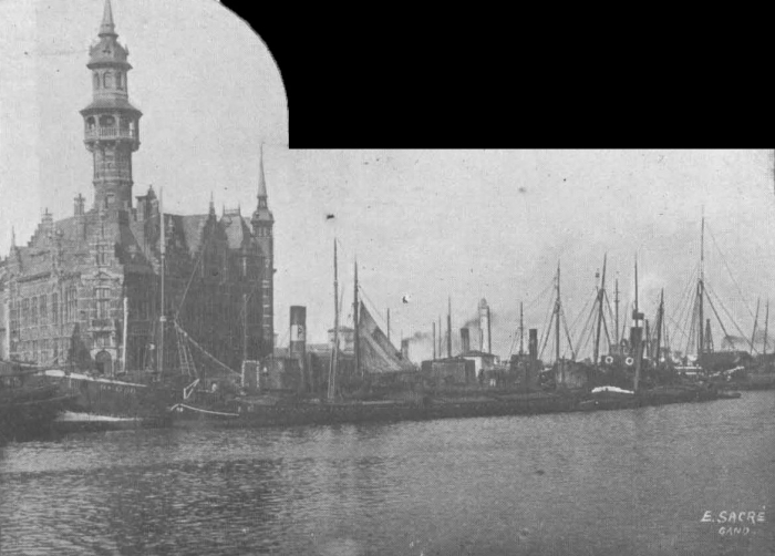 De Zuttere (1909, fig. 10)