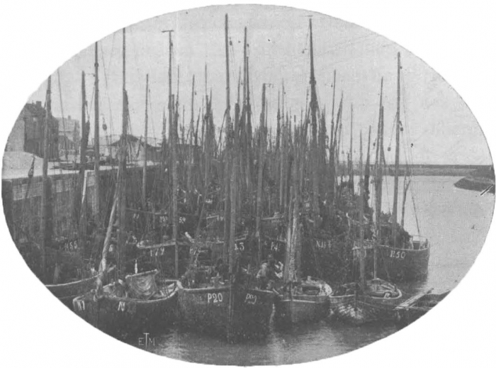 De Zuttere (1909, fig. 12)