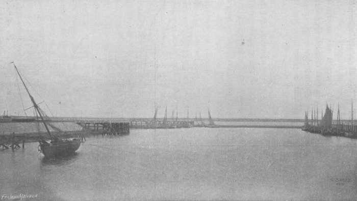 De Zuttere (1909, fig. 15)