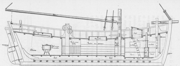 De Zuttere (1909, fig. 20)