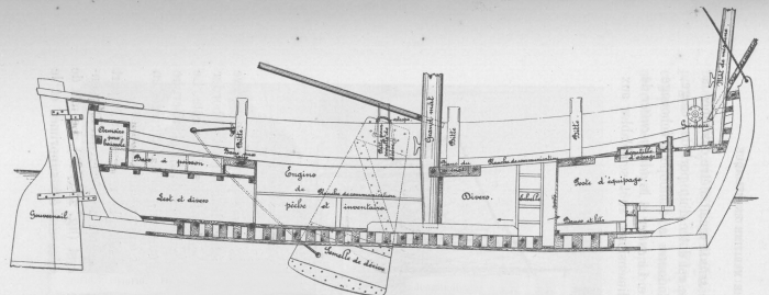 De Zuttere (1909, fig. 21)