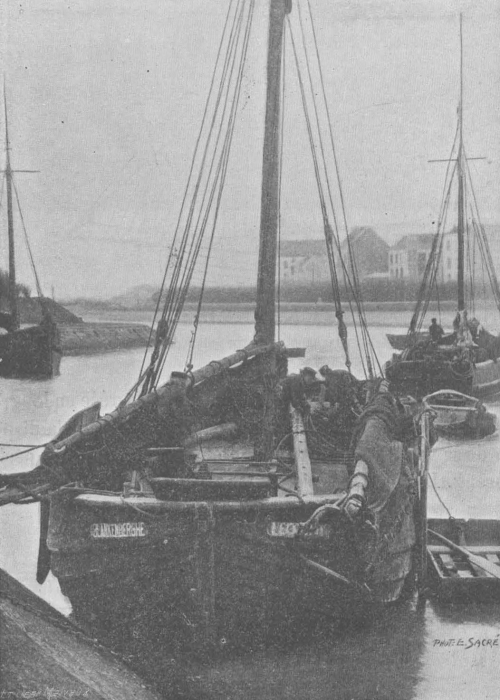 De Zuttere (1909, fig. 23)