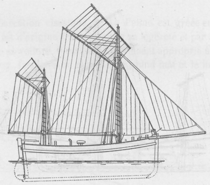 De Zuttere (1909, fig. 28)