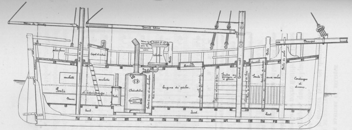 De Zuttere (1909, fig. 29)
