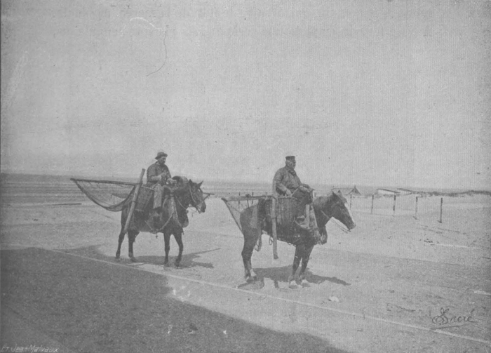 De Zuttere (1909, fig. 30)