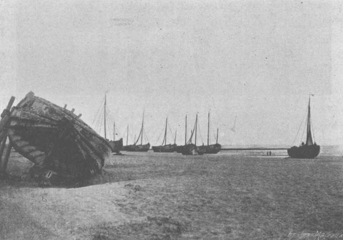 De Zuttere (1909, fig. 33)