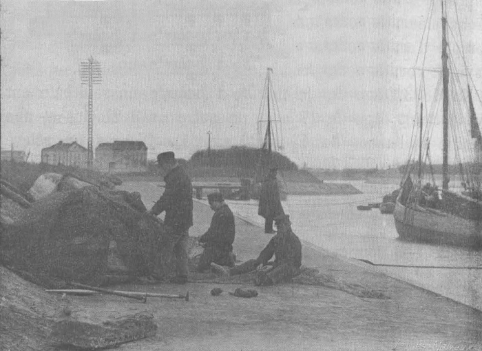 De Zuttere (1909, fig. 38)