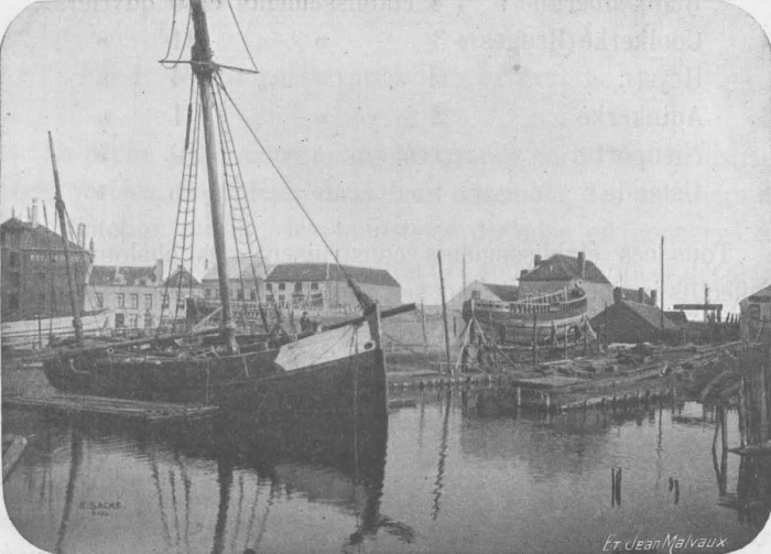 De Zuttere (1909, fig. 39)
