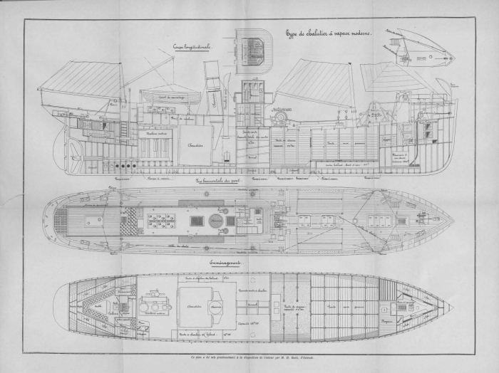 De Zuttere (1909, fig. 40)