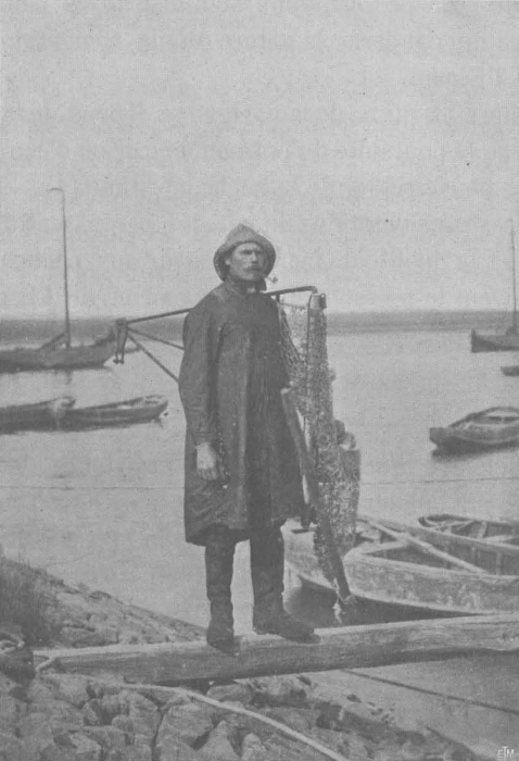 Vermaut, De Zuttere (1914, fig. 01)