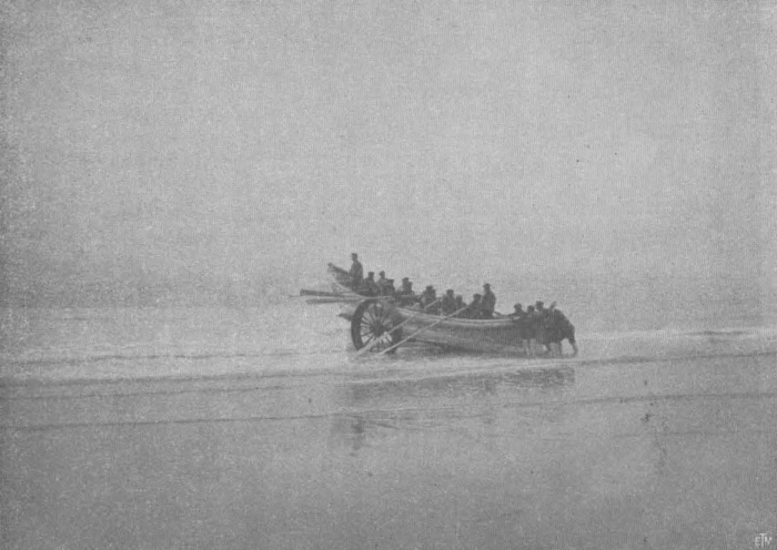 Vermaut, De Zuttere (1914, fig. 09)