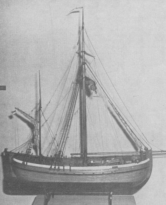 Desnerck (1976, fig. 045)