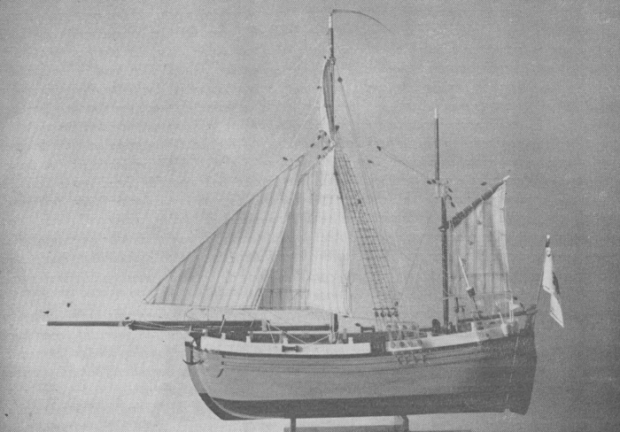 Desnerck (1976, fig. 047)