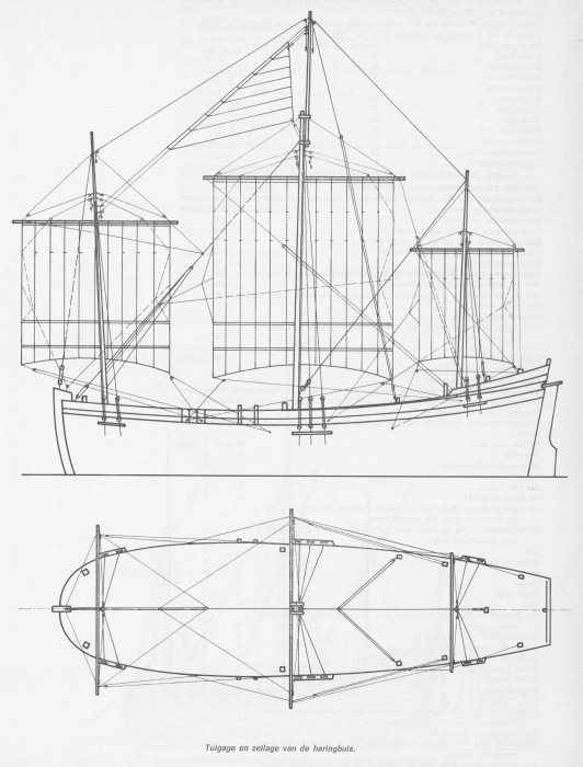 Desnerck (1976, fig. 060)